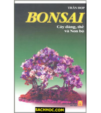 Bonsai-Cây Dáng, Thế Và Non Bộ