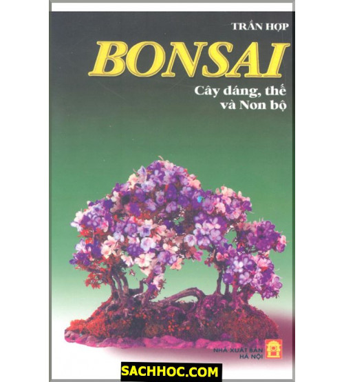 Bonsai-Cây Dáng, Thế Và Non Bộ