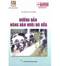 Hướng dẫn nông dân nuôi bò sữa