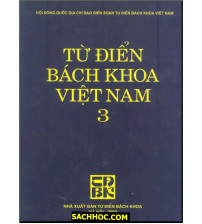 Từ điển Bách Khoa Việt Nam - Tập 3