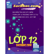 Bài kiểm tra học kỳ 2 môn Toán lớp 12 trường THPT Lý tự trọng năm học 2016 - 2017 mã 1