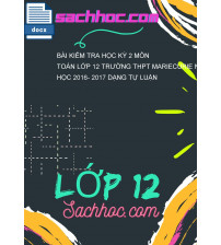 Bài kiểm tra học kỳ 2 môn Toán lớp 12 trường THPT Mariecurie năm học 2016- 2017 dạng tự luận