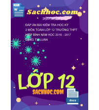 Đáp án bài kiểm tra học kỳ 2 môn toán lớp 12 trường THPT Hiệp bình năm học 2016 - 2017 dạng tự luận