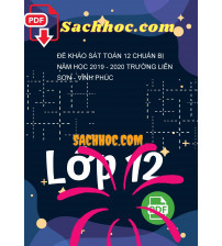 Đề khảo sát Toán 12 chuẩn bị năm học 2019 - 2020 trường Liễn Sơn - Vĩnh Phúc