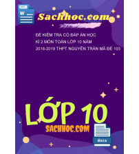 Đề kiểm tra có đáp án học kì 2 môn Toán lớp 10 năm 2018-2019 THPT Nguyễn Trân mã đề 103