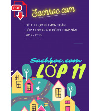 Đề thi học kì 1 Môn toán lớp 11 Sở GD-ĐT Đồng Tháp năm 2012 - 2013