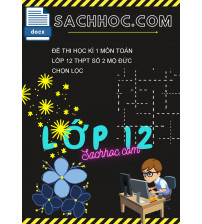 Đề thi học kì 1 môn Toán lớp 12 THPT Số 2 Mộ Đức chọn lọc