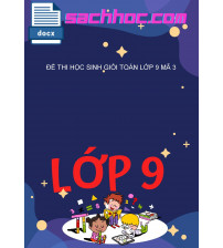 Đề thi học sinh giỏi toán lớp 9 mã 3