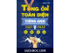 Tổng ôn toàn diện ngữ pháp tiếng anh - Trang Anh