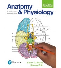 Download ebook Anatomy and Physiology 2018