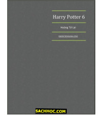 Harry Potter Tập 6 Hoàng Tử Lai