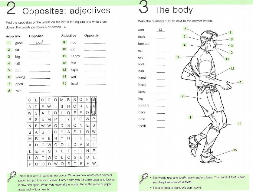 pdf природа и структура экономических субъектов