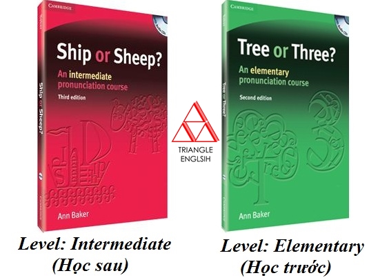 Sheep or ship учебник. Ship or Sheep pdf. Ship or Sheep an Intermediate pronunciation course. Ship or Sheep звук s. Elementary pronunciation